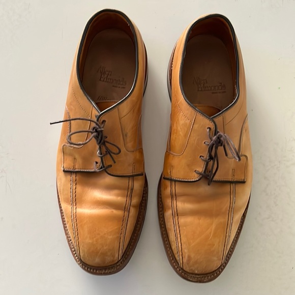 Allen Edmonds Other - Allen Edmonds, Hillcrest mens dress shoes. Size mens 9